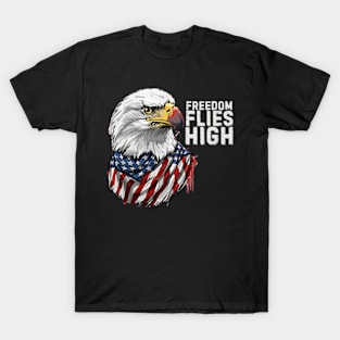 4th-of-July-celebration T-Shirt